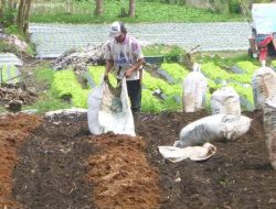 Atasi Kelangkaan, Dinas Pertanian Pamekasan Siap Latih Pembuatan Pupuk Organik