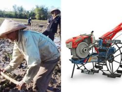 Sewa Traktor Makin Mahal, Petani di Pamekasan Keluhkan Bantuan Alsintan