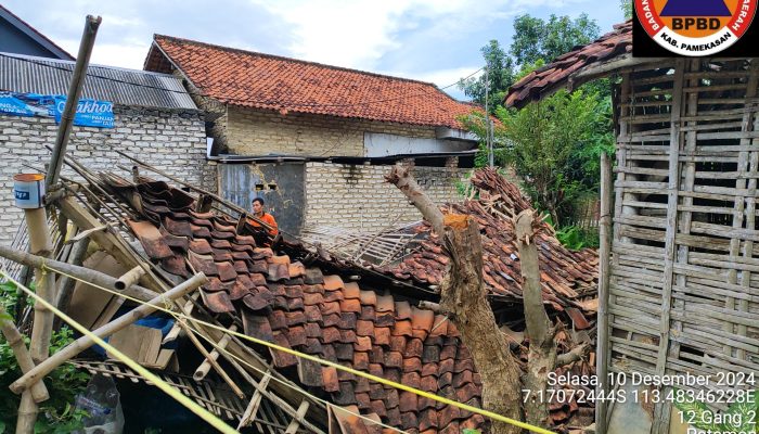 Hujan Disertai Angin, Kandang Ayam Milik Warga Pamekasan Roboh