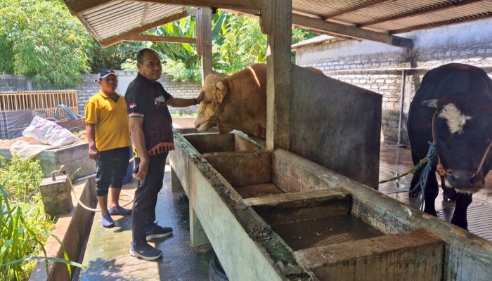 Kalapas Pamekasan Tinjau Lokasi Pengajuan Kerjasama Program Pembinaan Asimilasi Bersama Pokmas Tekad Maju Bersama
