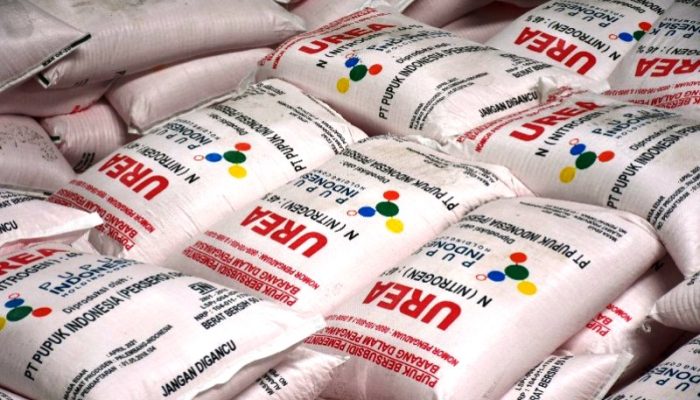 Pupuk Subsidi di Desa Ambat Pamekasan Diduga Dijual di Atas HET dan Keluar Desa