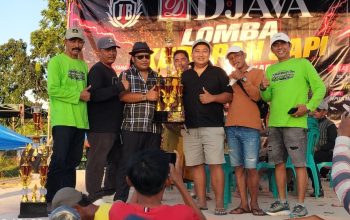 Boyong Dua Gelar Juara, Sapi Tak Mau Dimadu Bersinar di Kerapan Sapi HUT Bintang Baskara Jaya