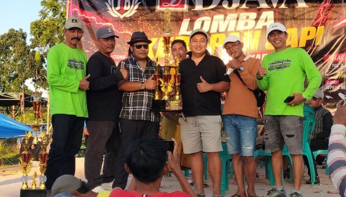 Boyong Dua Gelar Juara, Sapi Tak Mau Dimadu Bersinar di Kerapan Sapi HUT Bintang Baskara Jaya